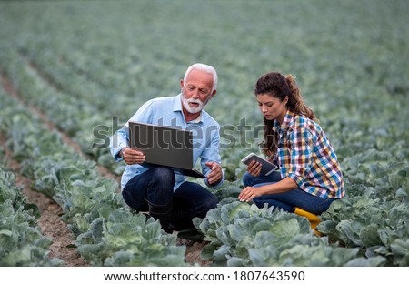Mature farmer and young woman with laptop squatting in vegetable garden and checking quality