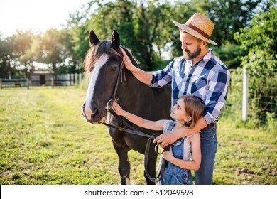 1,913 Padre e hijo rancho Images, Stock Photos & Vectors | Shutterstock