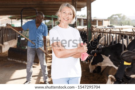 Mature female farmer  standing near cow and male working on background at  farm