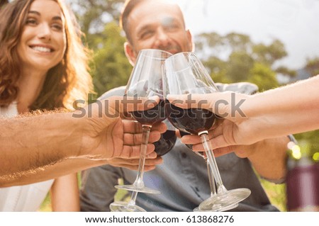Mature friends raising their glasses in a toast during picnic. Happy middle aged couples celebrate. Happy man and smiling woman toasting with wine glasses anf have fun together. 