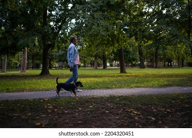 Mature Grey Bearded Man And Mixed Bread Dog Walking In Park. Active Senior Man On Summer Walk With Dog On Path Through Park. Profile Shot Of A Guy Walking His Dog In A Park On A Sunny Day