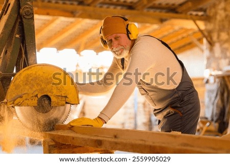 Mature male carpenter sawing wooden plank at sawmill