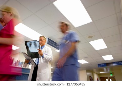 Mature Male Doctor Checking X-ray In Busy Hospital Ward