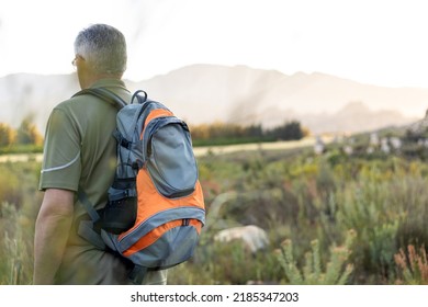 Mature Male Hiker With Backpack Hiking Alone And Enjoying Nature On Lush Landscape Against Clear Sky During Sunset