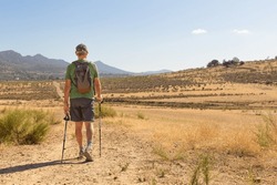 Mature Man From The Back Walking With Sticks On A Dirt Road In The Middle Of Nature. He Is Wearing Shorts, A Backpack, A Green T-shirt And A Cap. The Ground Is Dry And Golden. 