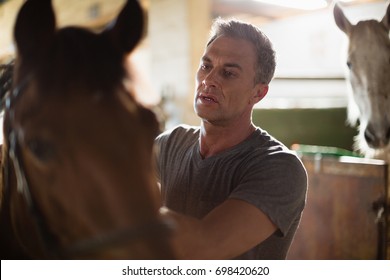 Mature man caressing the brown horse in the stable - Powered by Shutterstock