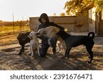 Mature man crouching with group of dogs in shelter and petting them