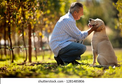 Mature man crouching next to his dog in the vineyard.