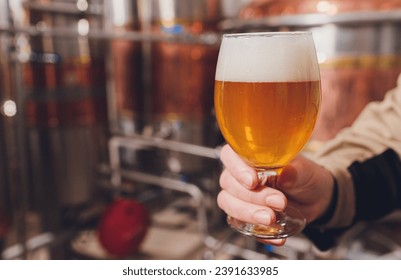 Mature man examining the quality of craft beer at brewery. Inspector working at alcohol manufacturing factory checking beer. Man in distillery checking quality control of draught beer - Powered by Shutterstock