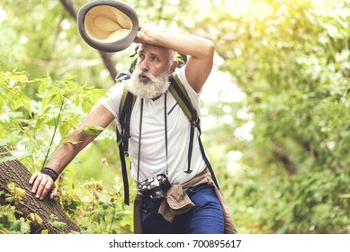 Mature Man Is Exhausted From Hiking In The Wood