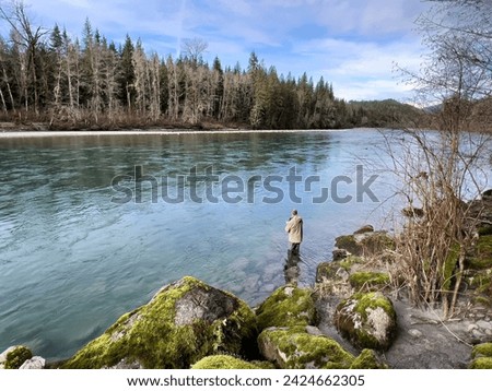 Mature man fly fishing the Sauk river in Washington state Cascades during lovely day in the winter season for Steelhead trout