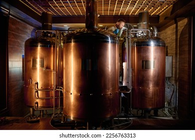 Mature man inspector checking craft beer at brewery - Powered by Shutterstock