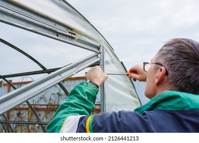 Mature Man Inspects Old Greenhouse For Renovation On A Spring Day, Greenhouse Repair