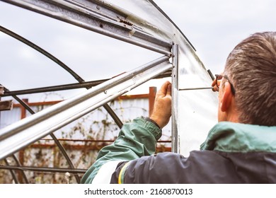 Mature Man Inspects Old Greenhouse For Renovation On A Spring Day, Greenhouse Repair