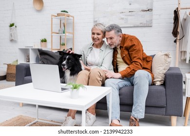 Mature Man Looking At Laptop Near Wife And Border Collie Dog On Couch