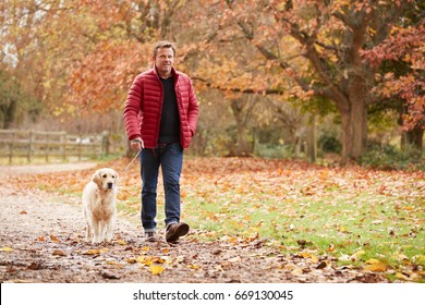 Mature Man On Autumn Walk With Labrador