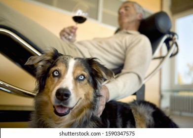 Mature Man Relaxing With Dog