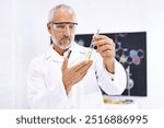 Mature man, scientist or test tube with chemical compound for experiment, liquid or medical breakthrough at laboratory. Male person, biologist or chemist with fluid for science results or exam at lab