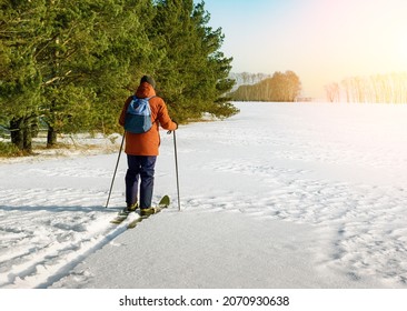 Mature Man Skiing In Winter Forest, Field At Sunset. Active People Outdoors.