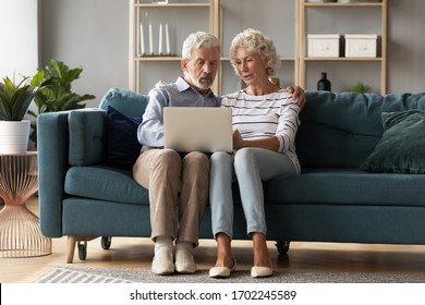 Mature Man And Woman Using Laptop Together, Looking At Screen, Older Spouses Browsing Apps, Shopping Or Chatting Online, Making Video Call, Using Bank Service, Sitting On Cozy Sofa In Living Room