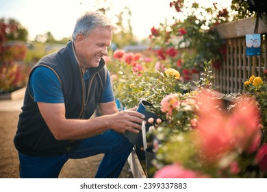 Mature Man Working Outdoors In Garden Centre Checking Rose Plants - Powered by Shutterstock