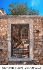 A mature olive tree grows inside abandoned stone ruins, framed by a weathered doorway on Spinalonga island, Crete, symbolizing resilience and nature reclaiming architecture.