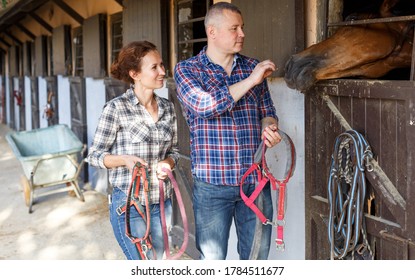 Mature positive family couple with belly-band feeding a horse at stable outdoor - Powered by Shutterstock