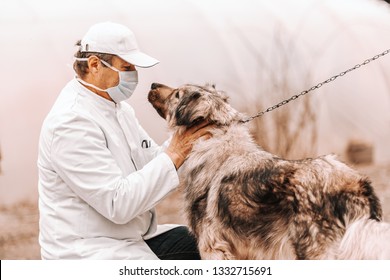 Mature Veterinarian In White Coat, Mask And Cap Crouching And Petting Dog. Rural Exterior.