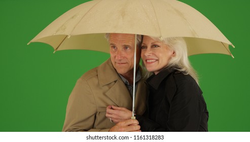 Mature White Couple Sharing Umbrella In Rainy Weather On Green Screen