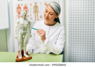 Mature woman acupuncturist, doctor of traditional Chinese medicine showing points on acupuncture model of human body
