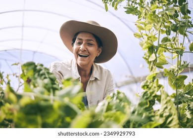 Mature woman, agriculture and greenhouse with plants, wow and smile, harvest and vegetable farming. Farmer, happy with crops and sustainability, agro business and ecology with growth and gardening - Powered by Shutterstock