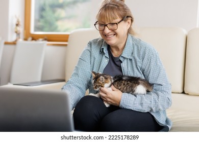 Mature Woman In Blue Shirt Sitting With A Cat On Her Lap At The Wooden Table At Home With Laptop And Notebook, Working Or Shopping Online.