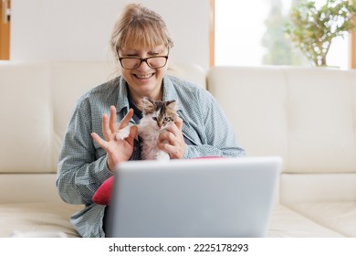 Mature Woman In Blue Shirt Sitting With A Cat On Her Lap At The Wooden Table At Home With Laptop And Notebook, Working Or Shopping Online.