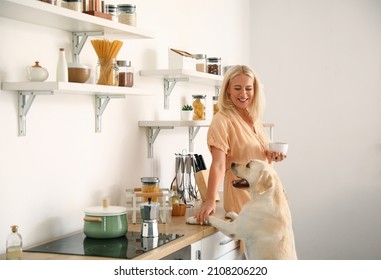 Mature Woman With Cup Of Coffee And Cute Labrador Dog At Counter In Kitchen