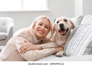 Mature Woman With Cute Labrador Dog On Sofa At Home