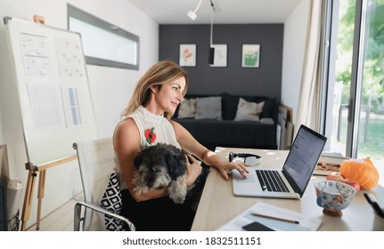 Mature Woman With Dog Working Indoors In Home Office In Container House In Backyard.