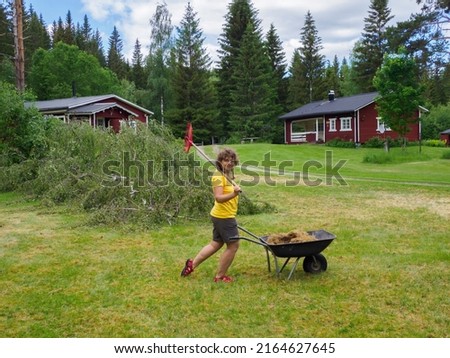 A mature woman during the work in the garden. Sweden, North Europe