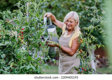 Mature woman in garden at home watering vegetables. - Powered by Shutterstock