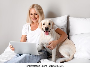 Mature Woman With Laptop And Cute Labrador Dog On Bed
