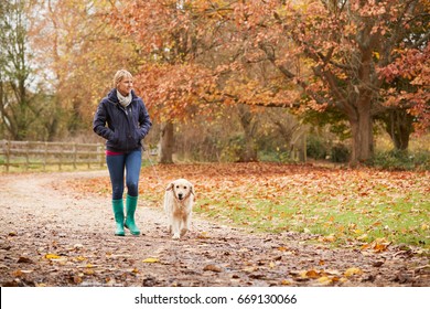 Mature Woman On Autumn Walk With Labrador