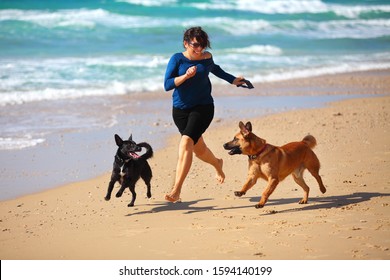 Mature Woman  playing with her dogs on the beach. - Powered by Shutterstock