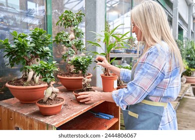 mature woman pruning a bonsai with a pair of scissors. nursery owner at work. - Powered by Shutterstock