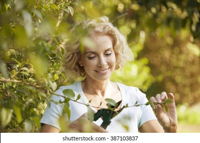 A mature woman pruning a bush - Powered by Shutterstock