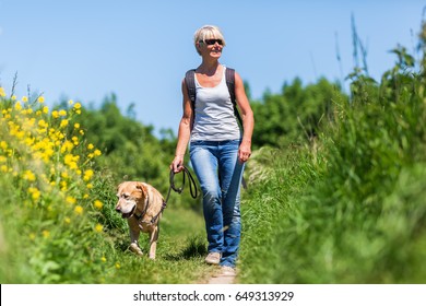 Mature Woman With Rucksack Hiking With A Dog In A Summer Landscape