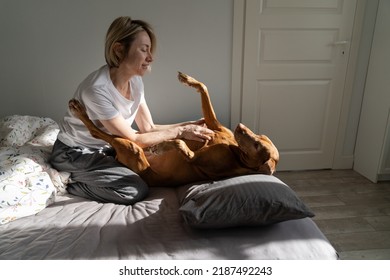 Mature woman wakes up dog on bed in living room. Blonde female enjoys playing with sleepy Vizsla dog stroking pet stomach. Smiling and unwashed woman too lazy to start difficult week day closeup - Powered by Shutterstock