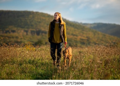 Mature woman walking her beautiful hungarian vizsla. Dog walking background. Woman and hunting dog enjoying nature walk on a sunny autumn evening.