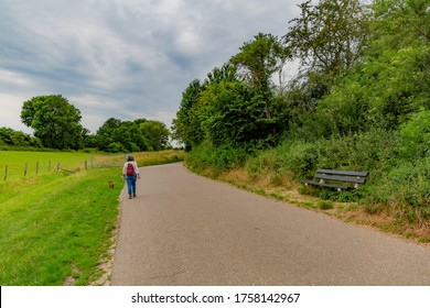 Mature Woman Walking With Her Dog On The Left Side Of A Country Road Between Farmland, Trees, Vegetation With Green Foliage And Wooden Bench, Cloudy Day With Heavy Clouds In South Limburg, Netherlands