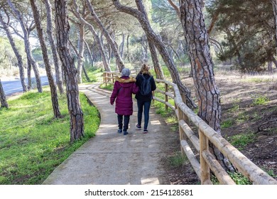 A mature woman walking with her elderly mother by forest pathway between mediterranean pines