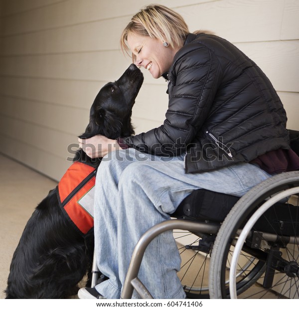 A mature woman\
wheelchair user with her service dog, a black labrador, leaning in\
towards each other