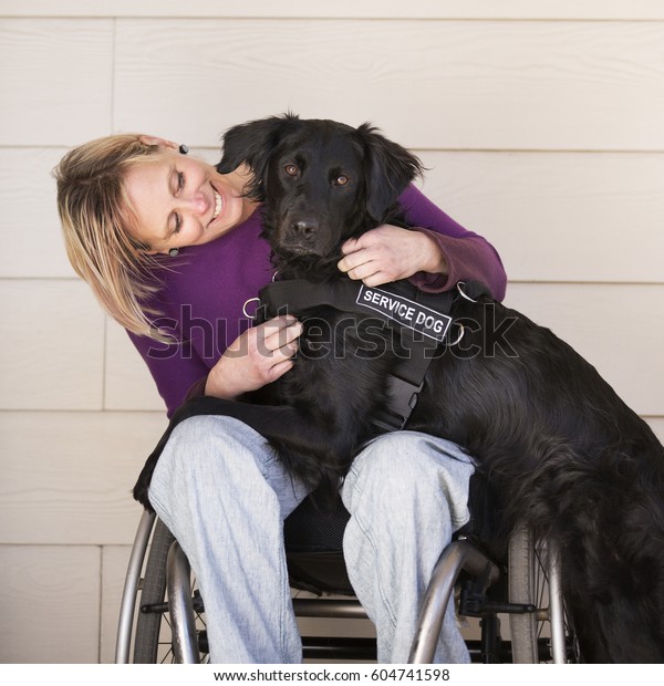 A mature\
woman wheelchair user with her arms around her service dog, a black\
labrador whose front paws are on her\
lap